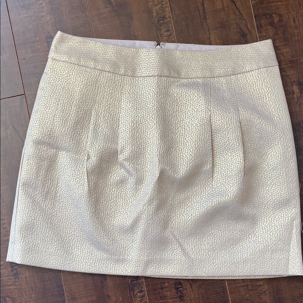 Elegant Cream and gold textured Skirt